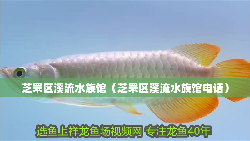 芝罘區溪流水族館（芝罘區溪流水族館電話）
