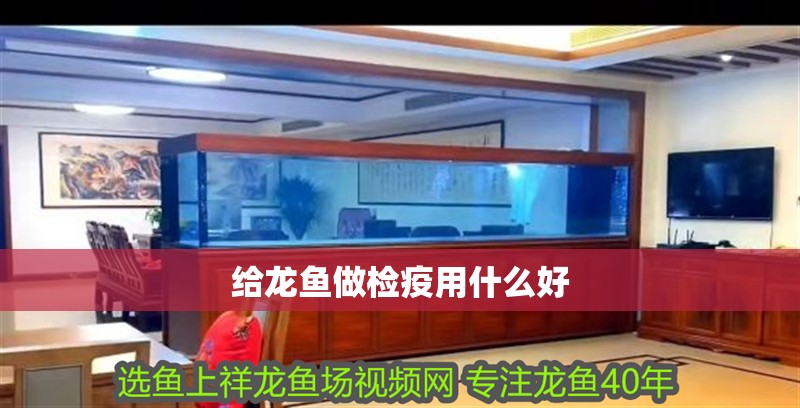 給龍魚做檢疫用什么好