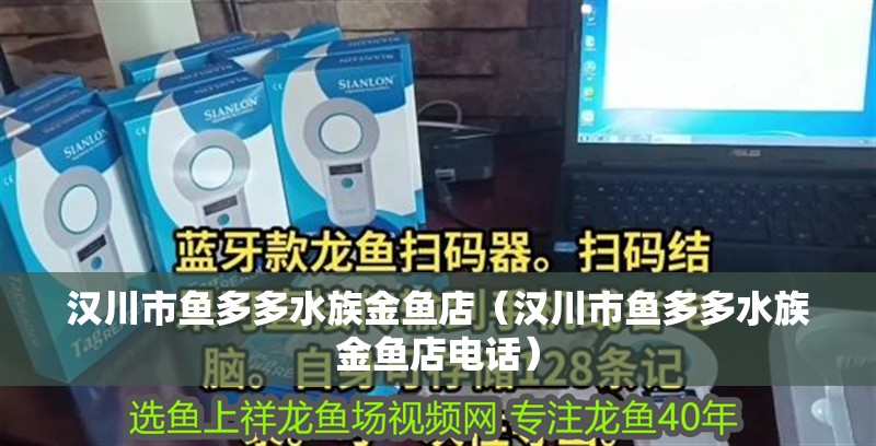 漢川市魚多多水族金魚店（漢川市魚多多水族金魚店電話） 漢川市魚多多水族金魚店（漢川市魚多多水族金魚店電話） 全國水族館企業(yè)名錄 第2張