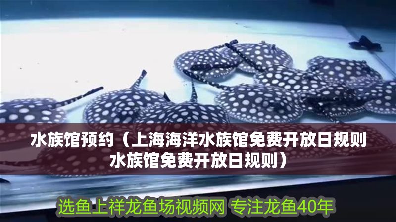 水族館預約（上海海洋水族館免費開放日規(guī)則水族館免費開放日規(guī)則）