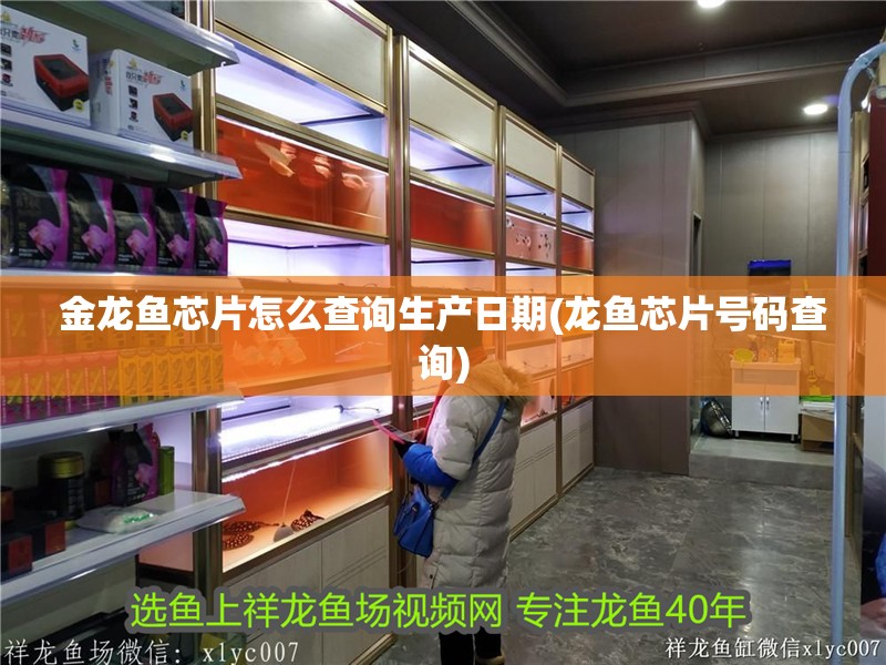 金龍魚芯片怎么查詢生產日期(龍魚芯片號碼查詢)