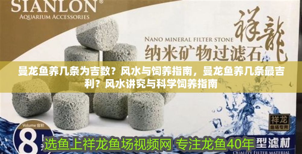 曼龍魚養(yǎng)幾條為吉數(shù)？風(fēng)水與飼養(yǎng)指南，曼龍魚養(yǎng)幾條最吉利？風(fēng)水講究與科學(xué)飼養(yǎng)指南