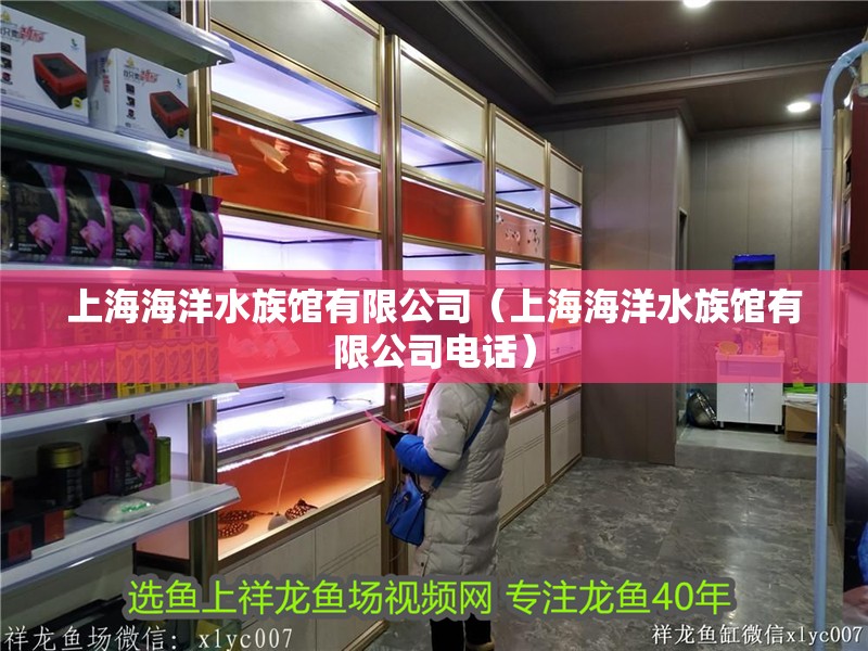 上海海洋水族館有限公司（上海海洋水族館有限公司電話）