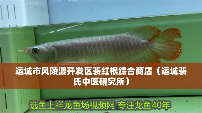 運城市風陵渡開發區裴紅根綜合商店（運城裴氏中醫研究所）