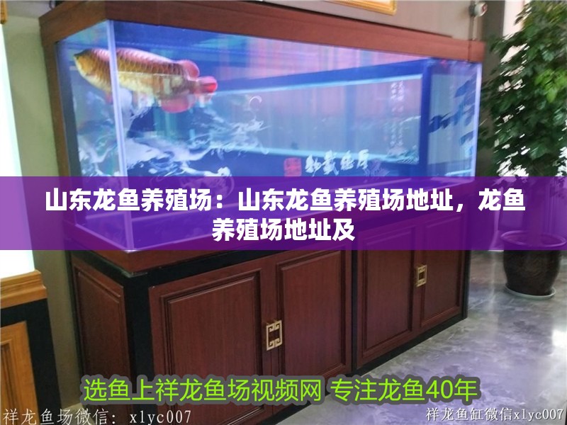 山東龍魚養殖場：山東龍魚養殖場地址，龍魚養殖場地址及 山東龍魚養殖場：山東龍魚養殖場地址，龍魚養殖場地址及 水族問答