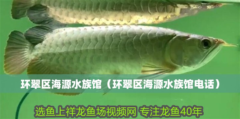 環翠區海源水族館（環翠區海源水族館電話）