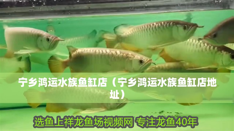 寧鄉鴻運水族魚缸店（寧鄉鴻運水族魚缸店地址）