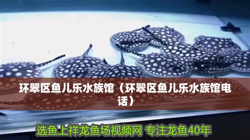 環翠區魚兒樂水族館（環翠區魚兒樂水族館電話）