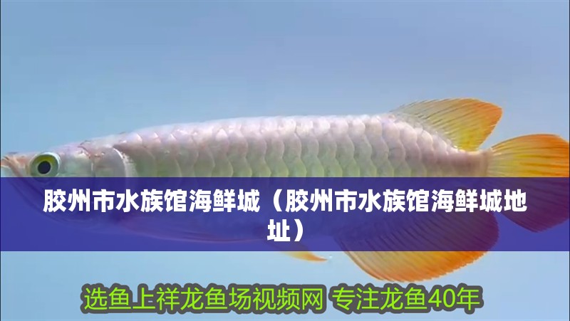 膠州市水族館海鮮城（膠州市水族館海鮮城地址）