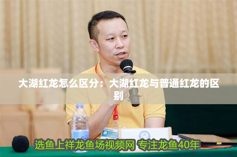 詳細(xì)閱讀:大湖紅龍?jiān)趺磪^(qū)分:大湖紅龍與普通紅龍的區(qū)別 大湖紅龍?jiān)趺磪^(qū)分:大湖紅龍與普通紅龍的區(qū)別