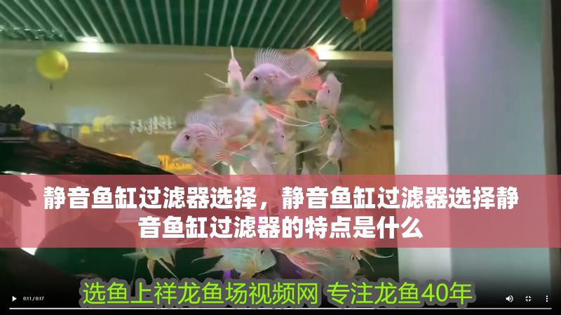 靜音魚缸過濾器選擇，靜音魚缸過濾器選擇靜音魚缸過濾器的特點是什么