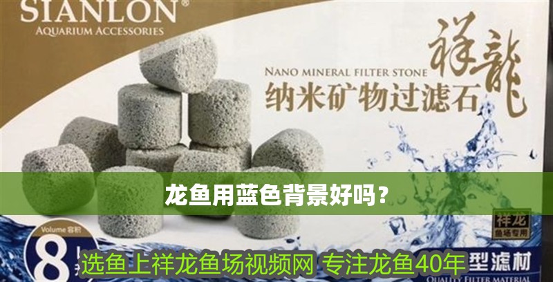 龍魚用藍色背景好嗎？
