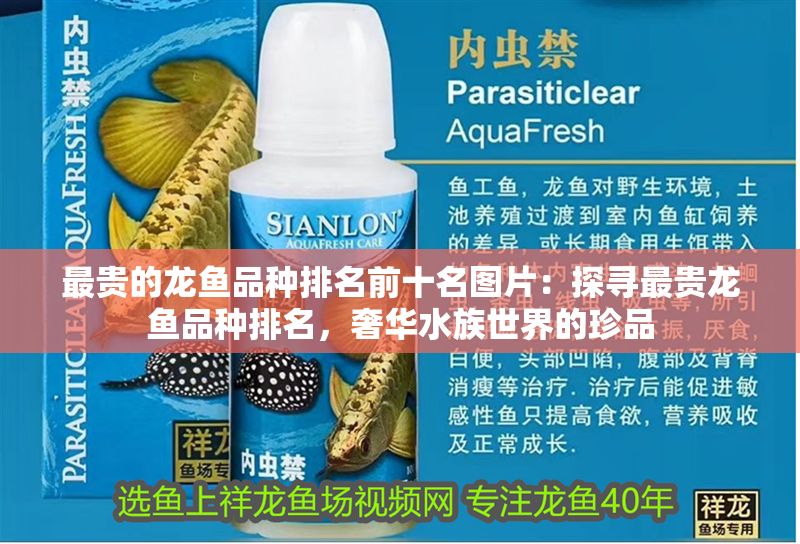 最貴的龍魚品種排名前十名圖片：探尋最貴龍魚品種排名，奢華水族世界的珍品