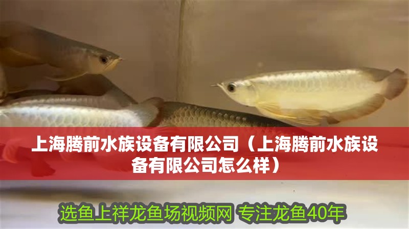 上海騰前水族設備有限公司（上海騰前水族設備有限公司怎么樣）
