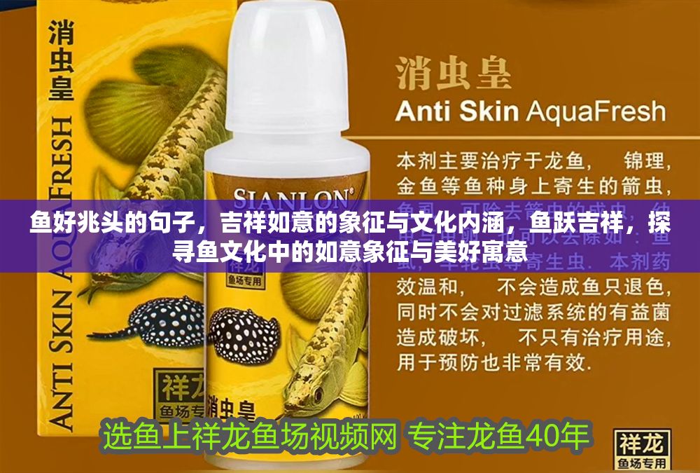 魚好兆頭的句子，吉祥如意的象征與文化內涵，魚躍吉祥，探尋魚文化中的如意象征與美好寓意