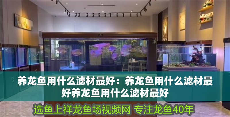 養龍魚用什么濾材最好：養龍魚用什么濾材最好養龍魚用什么濾材最好