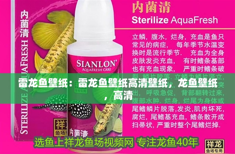 雷龍魚壁紙：雷龍魚壁紙高清壁紙，龍魚壁紙，高清