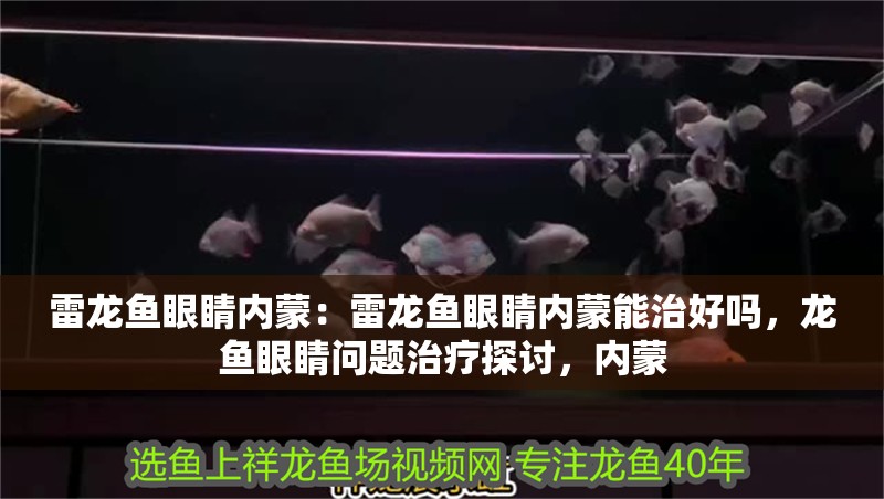 雷龍魚(yú)眼睛內(nèi)蒙：雷龍魚(yú)眼睛內(nèi)蒙能治好嗎，龍魚(yú)眼睛問(wèn)題治療探討，內(nèi)蒙