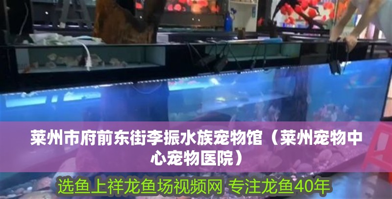 萊州市府前東街李振水族寵物館（萊州寵物中心寵物醫院）