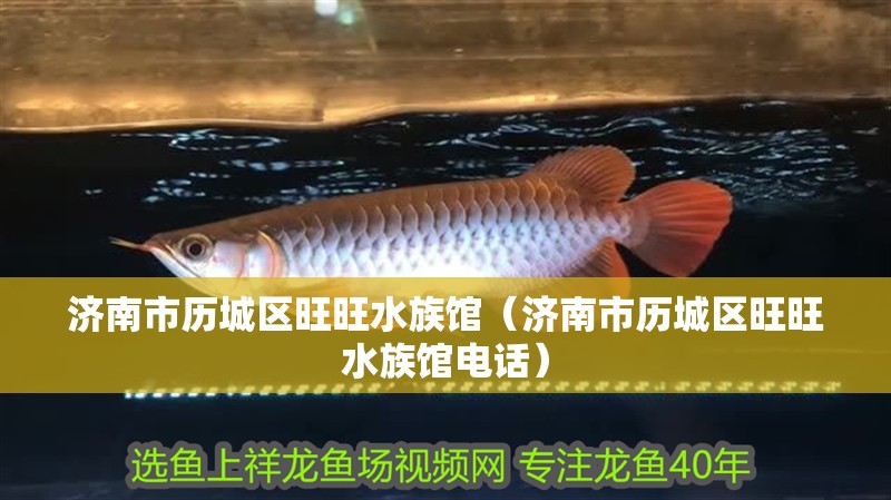 濟南市歷城區旺旺水族館（濟南市歷城區旺旺水族館電話）