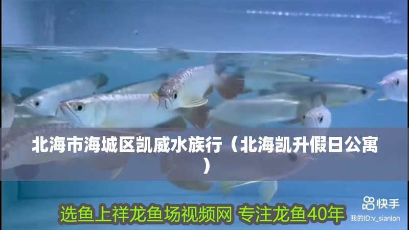 北海市海城區(qū)凱威水族行（北海凱升假日公寓）
