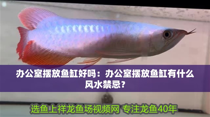辦公室擺放魚缸好嗎：辦公室擺放魚缸有什么風水禁忌？ 辦公室擺放魚缸好嗎：辦公室擺放魚缸有什么風水禁忌？ 魚缸百科