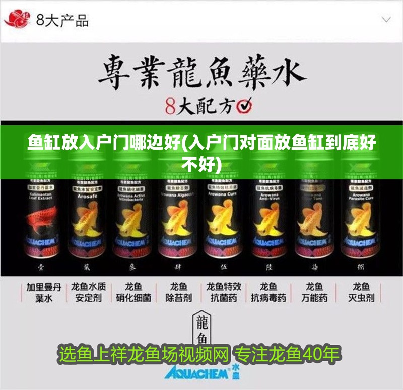 魚缸放入戶門哪邊好(入戶門對面放魚缸到底好不好)