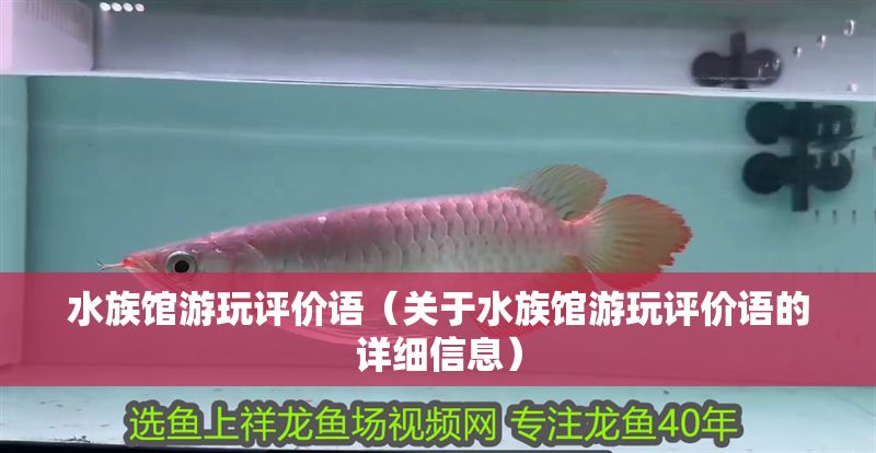 水族館游玩評價語（關于水族館游玩評價語的詳細信息）