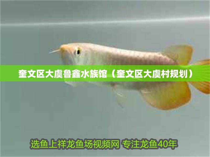 奎文區大虞魯鑫水族館（奎文區大虞村規劃） 奎文區大虞魯鑫水族館（奎文區大虞村規劃） 全國水族館企業名錄 第2張