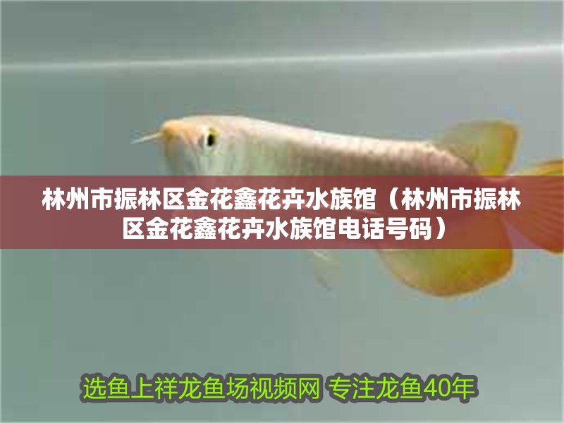 林州市振林區金花鑫花卉水族館(林州市振林區金花鑫花卉水族館電話號碼) 全國水族館企業名錄 第2張 林州市振林區金花鑫花卉水族館(林州市振林區金花鑫花卉水族館電話號碼) 林州市振林區金花鑫花卉水族館(林州市振林區金花鑫花卉水族館電話號碼) 全國水族館企業名錄 第2張