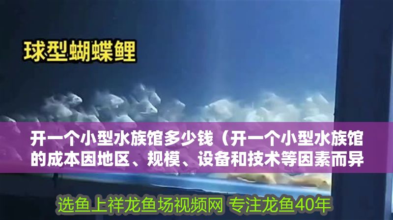 開一個小型水族館多少錢（開一個小型水族館的成本因地區、規模、設備和技術等因素而異）