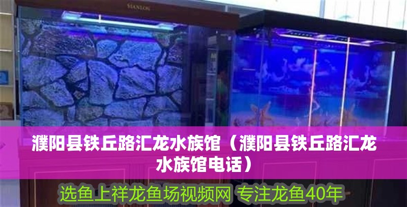 濮陽縣鐵丘路匯龍水族館（濮陽縣鐵丘路匯龍水族館電話） 濮陽縣鐵丘路匯龍水族館（濮陽縣鐵丘路匯龍水族館電話） 全國水族館企業名錄 第2張