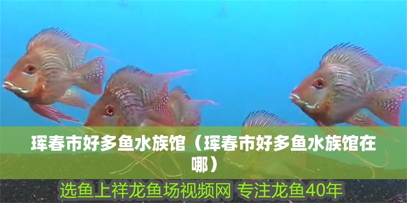 琿春市好多魚水族館（琿春市好多魚水族館在哪）