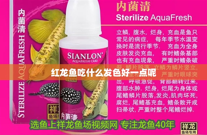 紅龍魚吃什么發色好一點呢