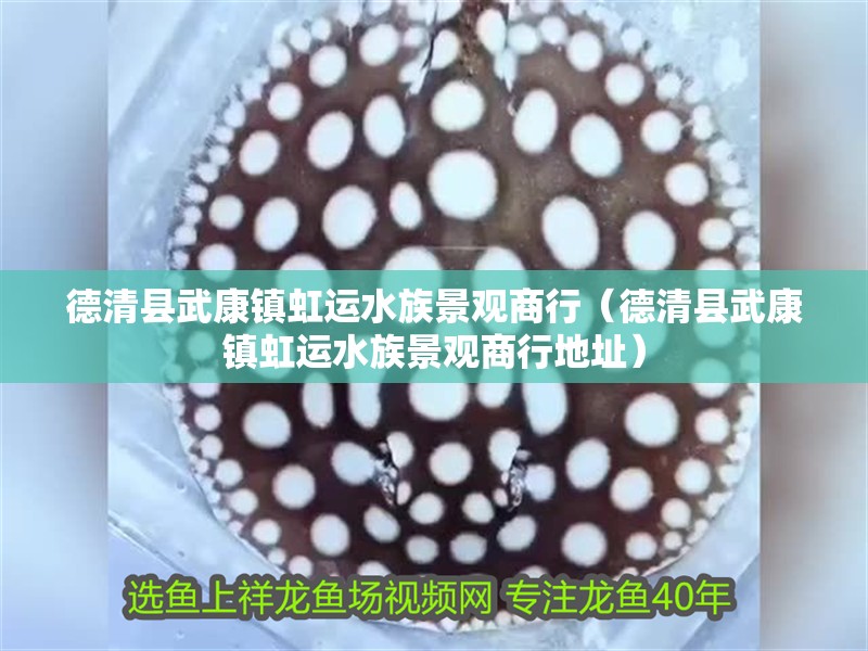 德清縣武康鎮虹運水族景觀商行（德清縣武康鎮虹運水族景觀商行地址） 德清縣武康鎮虹運水族景觀商行（德清縣武康鎮虹運水族景觀商行地址） 全國水族館企業名錄 第2張