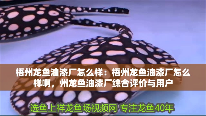 梧州龍魚油漆廠怎么樣：梧州龍魚油漆廠怎么樣啊，州龍魚油漆廠綜合評(píng)價(jià)與用戶