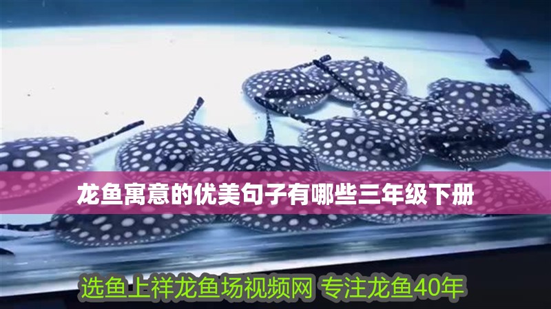 龍魚寓意的優美句子有哪些三年級下冊