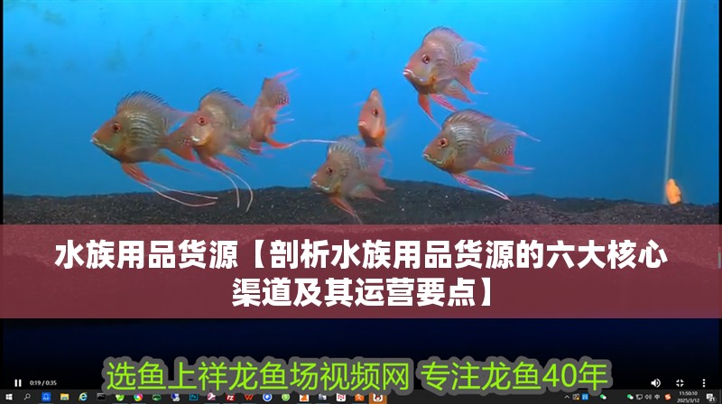 水族用品貨源【剖析水族用品貨源的六大核心渠道及其運營要點】