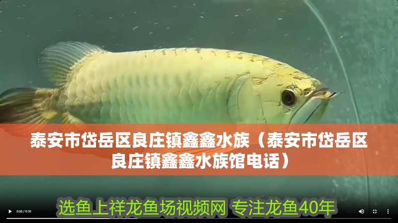 泰安市岱岳區良莊鎮鑫鑫水族(泰安市岱岳區良莊鎮鑫鑫水族館電話) 全國水族館企業名錄 第2張 泰安市岱岳區良莊鎮鑫鑫水族(泰安市岱岳區良莊鎮鑫鑫水族館電話) 泰安市岱岳區良莊鎮鑫鑫水族(泰安市岱岳區良莊鎮鑫鑫水族館電話) 全國水族館企業名錄 第2張