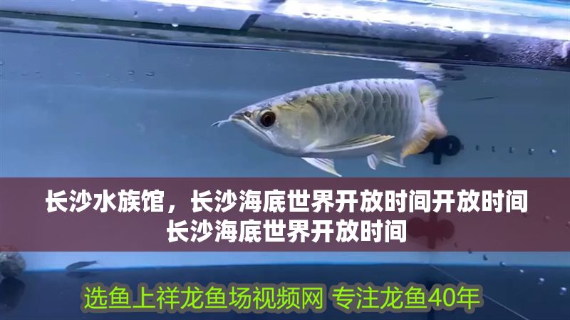 長沙水族館，長沙海底世界開放時間開放時間長沙海底世界開放時間