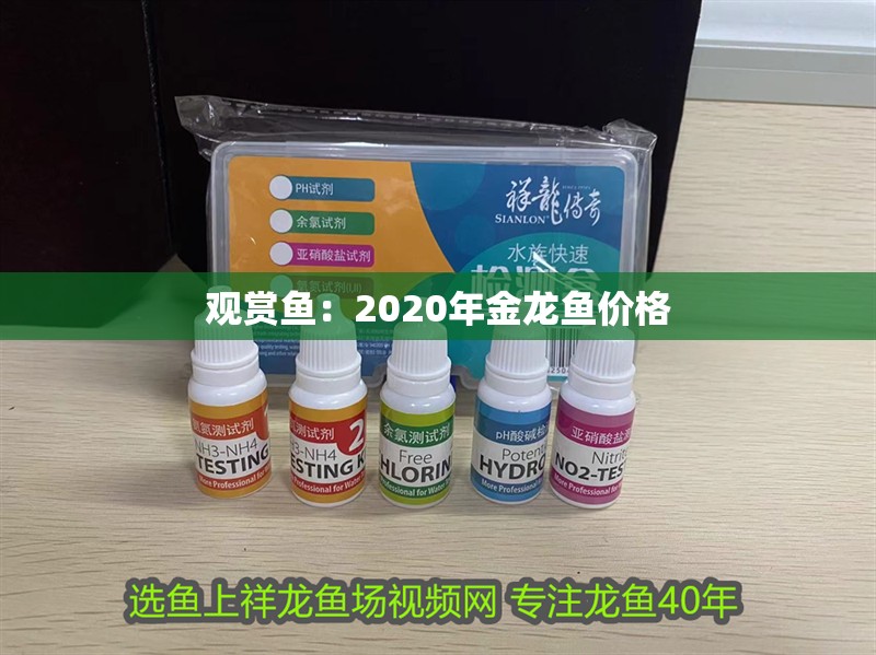 觀賞魚：2020年金龍魚價(jià)格 觀賞魚：2020年金龍魚價(jià)格 龍魚百科 第2張