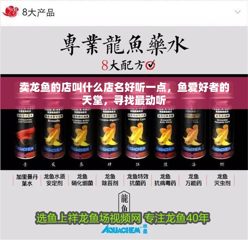 賣龍魚的店叫什么店名好聽一點，魚愛好者的天堂，尋找最動聽