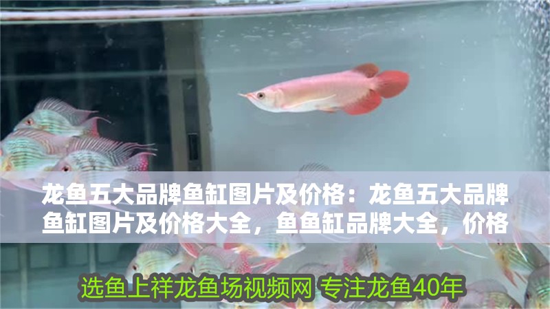 龍魚五大品牌魚缸圖片及價格：龍魚五大品牌魚缸圖片及價格大全，魚魚缸品牌大全，價格與圖片一覽