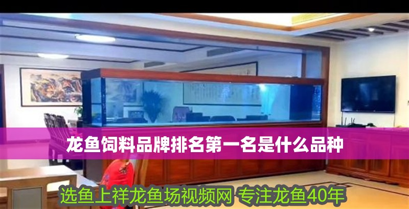 龍魚飼料品牌排名第一名是什么品種