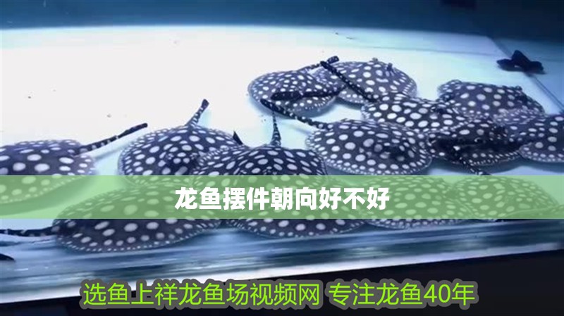 龍魚(yú)擺件朝向好不好