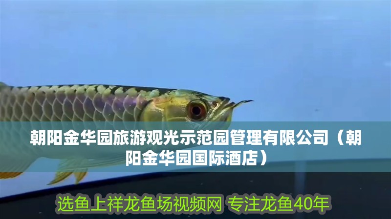朝陽金華園旅游觀光示范園管理有限公司（朝陽金華園國際酒店）