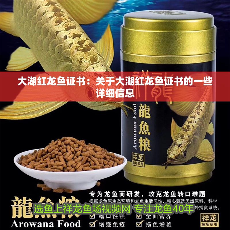 大湖紅龍魚證書：關于大湖紅龍魚證書的一些詳細信息