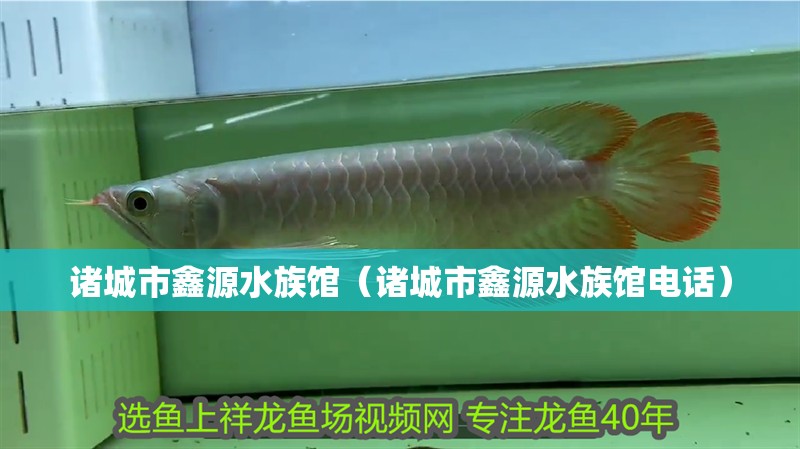 諸城市鑫源水族館（諸城市鑫源水族館電話）