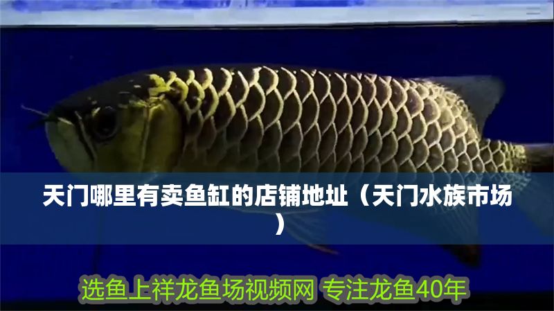 天門哪里有賣魚缸的店鋪地址（天門水族市場）