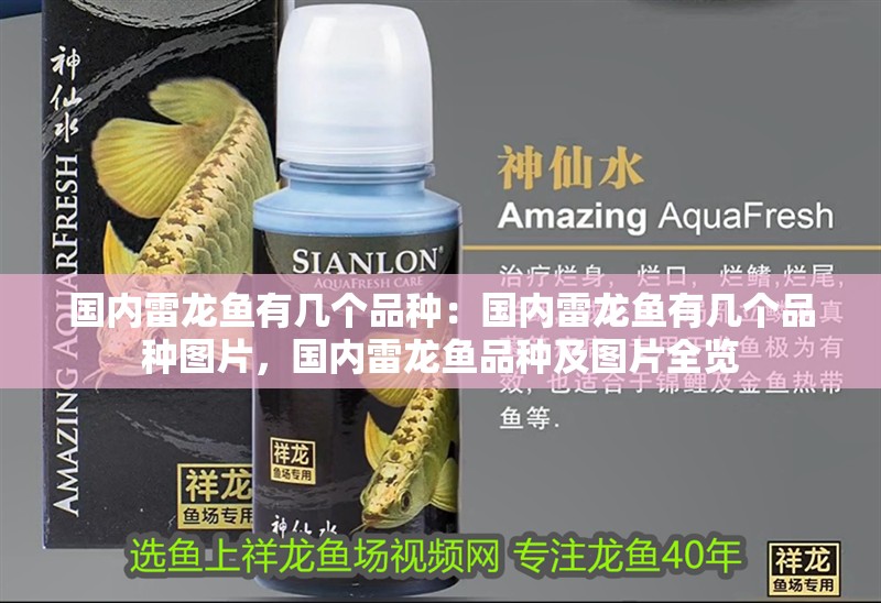 國內雷龍魚有幾個品種：國內雷龍魚有幾個品種圖片，國內雷龍魚品種及圖片全覽